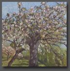 Apple blossom 40x40cm